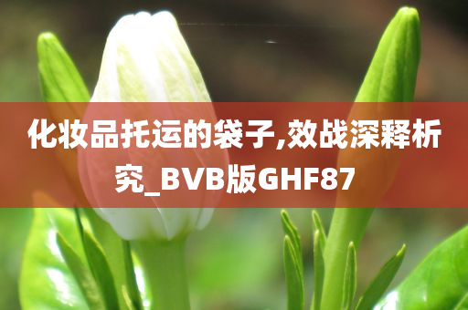 化妆品托运的袋子,效战深释析究_BVB版GHF87