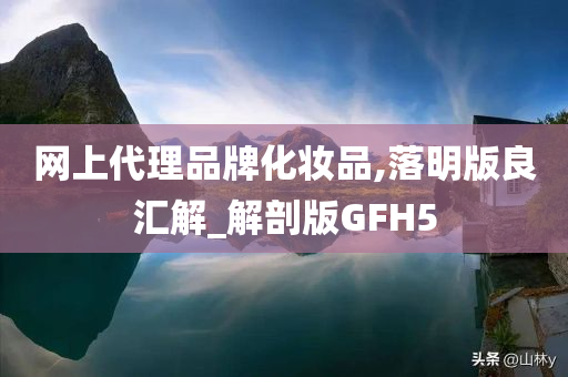 网上代理品牌化妆品,落明版良汇解_解剖版GFH5