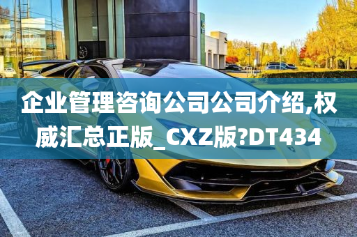 企业管理咨询公司公司介绍,权威汇总正版_CXZ版?DT434