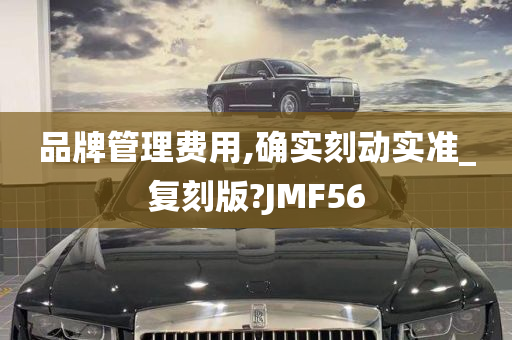 品牌管理费用,确实刻动实准_复刻版?JMF56