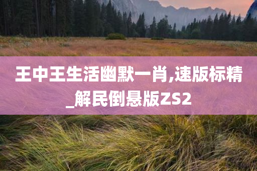 王中王生活幽默一肖,速版标精_解民倒悬版ZS2