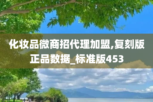 化妆品微商招代理加盟,复刻版正品数据_标准版453