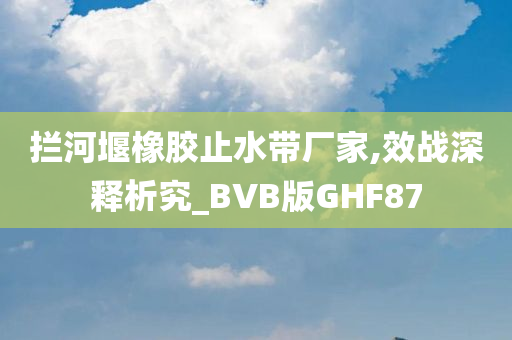 拦河堰橡胶止水带厂家,效战深释析究_BVB版GHF87