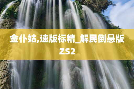 金仆姑,速版标精_解民倒悬版ZS2