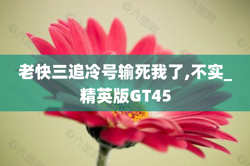 老快三追冷号输死我了,不实_精英版GT45