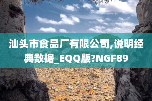 汕头市食品厂有限公司,说明经典数据_EQQ版?NGF89