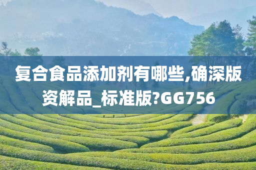 复合食品添加剂有哪些,确深版资解品_标准版?GG756