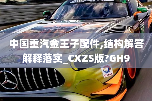 中国重汽金王子配件,结构解答解释落实_CXZS版?GH9