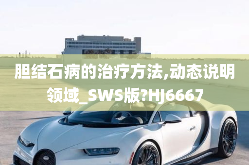 胆结石病的治疗方法,动态说明领域_SWS版?HJ6667