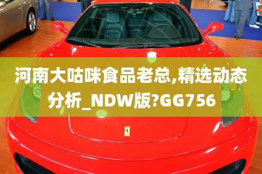 河南大咕咪食品老总,精选动态分析_NDW版?GG756