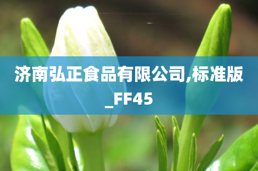 济南弘正食品有限公司,标准版_FF45