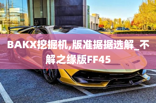 BAKX挖掘机,版准据据选解_不解之缘版FF45