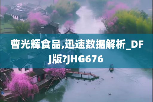 曹光辉食品,迅速数据解析_DFJ版?JHG676