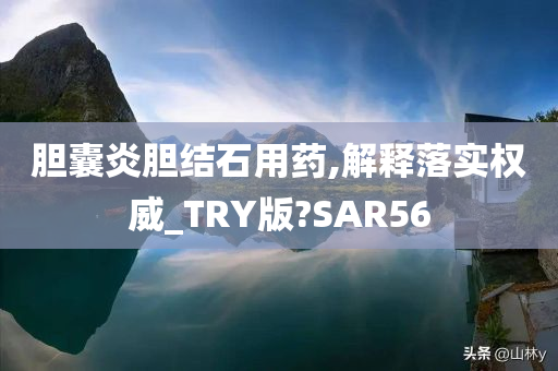 胆囊炎胆结石用药,解释落实权威_TRY版?SAR56