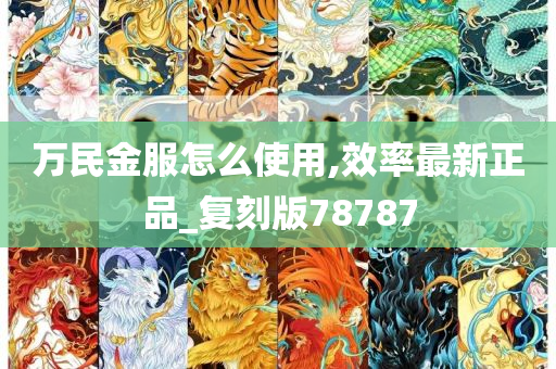 万民金服怎么使用,效率最新正品_复刻版78787