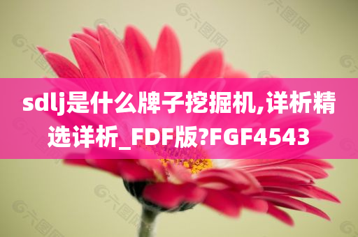 sdlj是什么牌子挖掘机,详析精选详析_FDF版?FGF4543