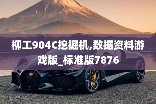 柳工904C挖掘机,数据资料游戏版_标准版7876