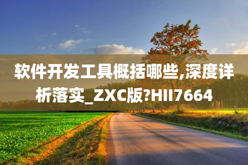 软件开发工具概括哪些,深度详析落实_ZXC版?HII7664