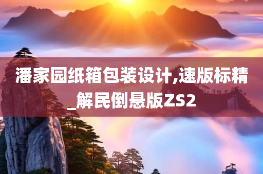 潘家园纸箱包装设计,速版标精_解民倒悬版ZS2