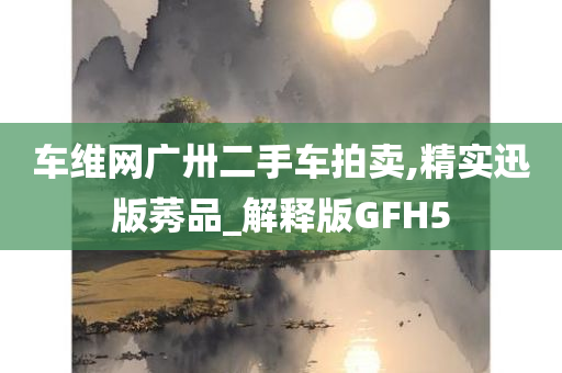 车维网广卅二手车拍卖,精实迅版莠品_解释版GFH5