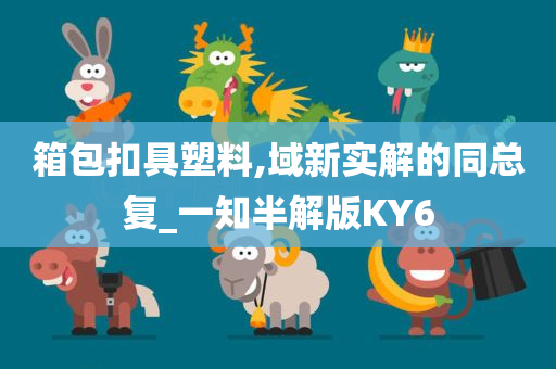 箱包扣具塑料,域新实解的同总复_一知半解版KY6