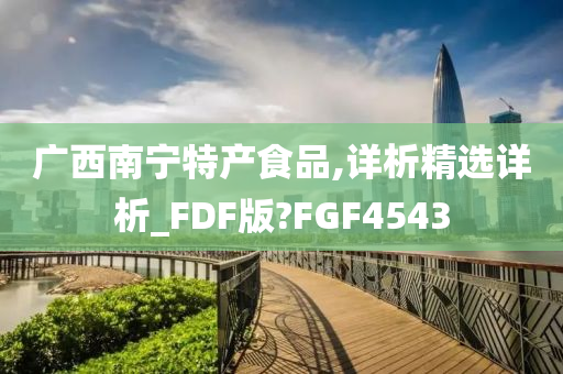 广西南宁特产食品,详析精选详析_FDF版?FGF4543