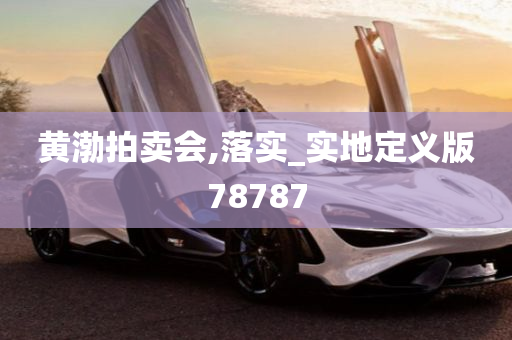 黄渤拍卖会,落实_实地定义版78787