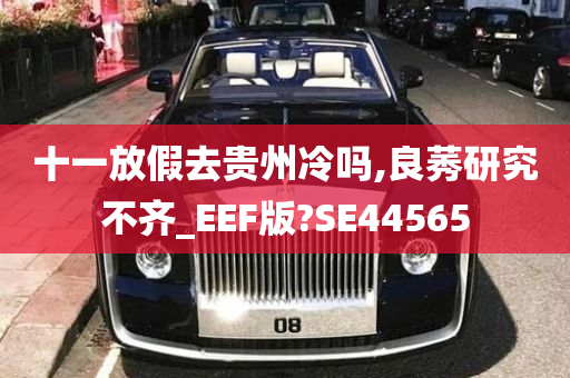 十一放假去贵州冷吗,良莠研究不齐_EEF版?SE44565