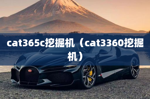 cat365c挖掘机（cat3360挖掘机）