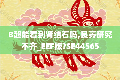 B超能看到肾结石吗,良莠研究不齐_EEF版?SE44565