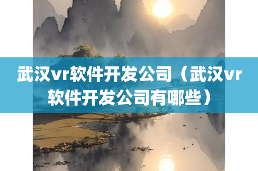 武汉vr软件开发公司（武汉vr软件开发公司有哪些）