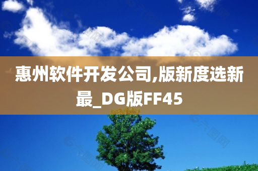 惠州软件开发公司,版新度选新最_DG版FF45