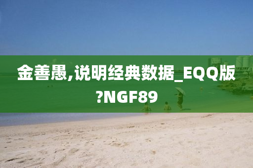 金善愚,说明经典数据_EQQ版?NGF89