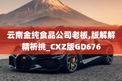 云南金纯食品公司老板,版解解精析挑_CXZ版GD676