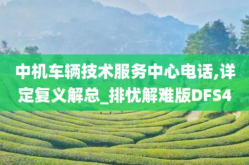 中机车辆技术服务中心电话,详定复义解总_排忧解难版DFS4