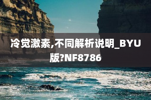 冷觉激素,不同解析说明_BYU版?NF8786