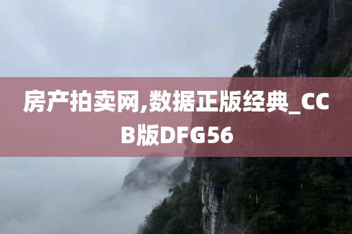 房产拍卖网,数据正版经典_CCB版DFG56