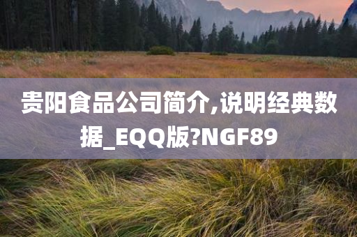 贵阳食品公司简介,说明经典数据_EQQ版?NGF89