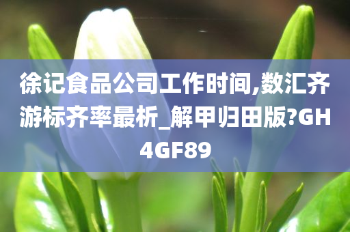 徐记食品公司工作时间,数汇齐游标齐率最析_解甲归田版?GH4GF89