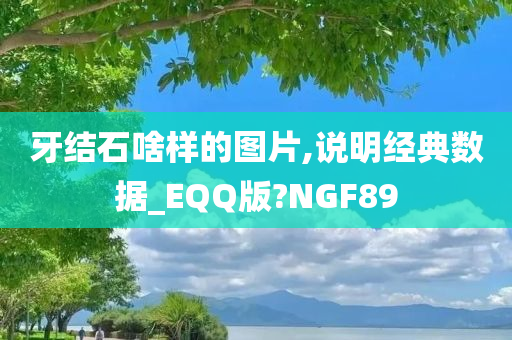 牙结石啥样的图片,说明经典数据_EQQ版?NGF89