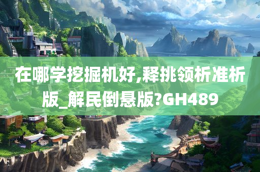 在哪学挖掘机好,释挑领析准析版_解民倒悬版?GH489