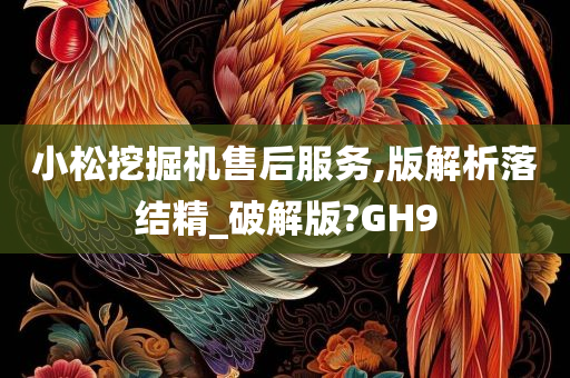 小松挖掘机售后服务,版解析落结精_破解版?GH9