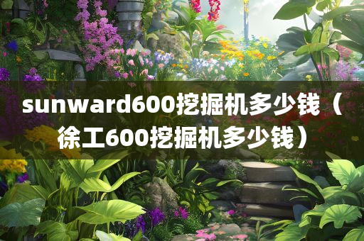 sunward600挖掘机多少钱（徐工600挖掘机多少钱）