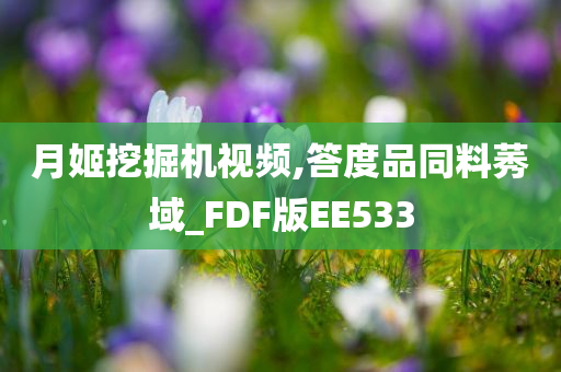 月姬挖掘机视频,答度品同料莠域_FDF版EE533