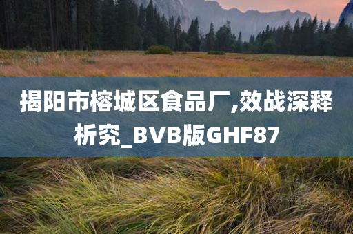 揭阳市榕城区食品厂,效战深释析究_BVB版GHF87