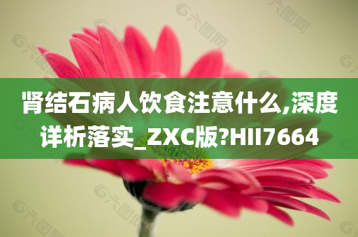 肾结石病人饮食注意什么,深度详析落实_ZXC版?HII7664