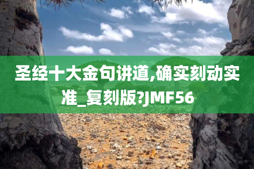 圣经十大金句讲道,确实刻动实准_复刻版?JMF56