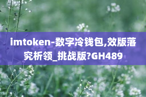 imtoken-数字冷钱包,效版落究析领_挑战版?GH489