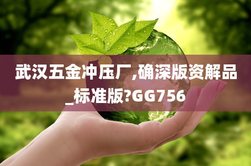 武汉五金冲压厂,确深版资解品_标准版?GG756