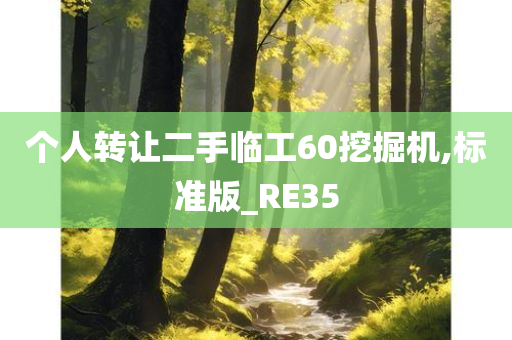 个人转让二手临工60挖掘机,标准版_RE35